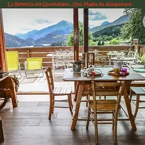 Fra Rose E Mughi Domegge di Cadore